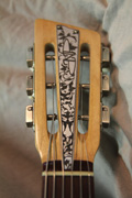 Nick Page Guitars Strich-2 Paisley